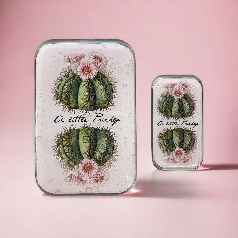 Boîte Métallique pour Accessoires CACTUS de FIREFLY NOTES