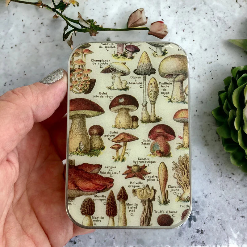 Boîte Métallique pour Accessoires CHAMPIGNONS de FIREFLY NOTES