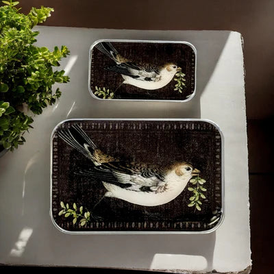 Boîte Métallique pour Accessoires CHANT D'OISEAU de FIREFLY NOTES