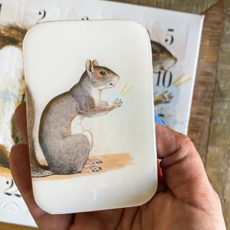 Boîte Métallique pour Accessoires ÉCUREUIL de FIREFLY NOTES