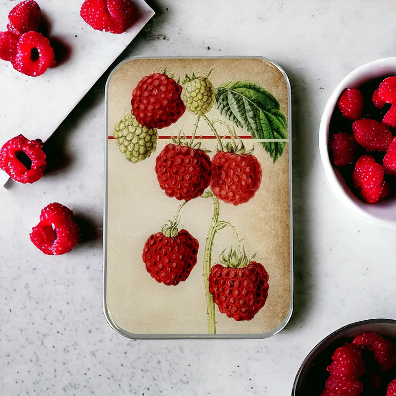Boîte Métallique pour Accessoires FRAMBOISES de FIREFLY NOTES