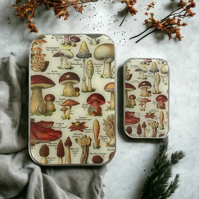 Boîte Métallique pour Accessoires CHAMPIGNONS de FIREFLY NOTES