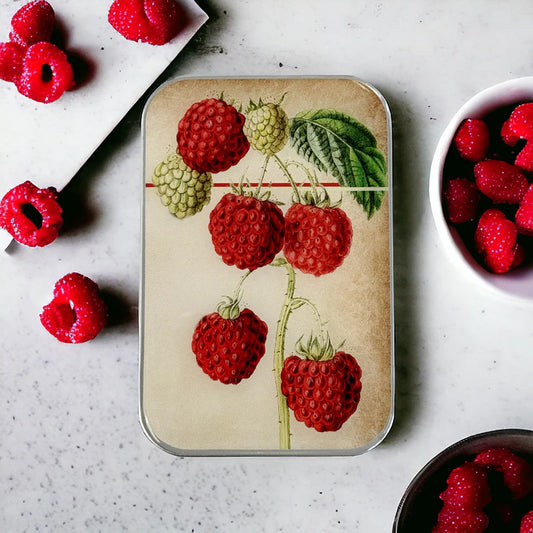 Boîte Métallique pour Accessoires FRAMBOISES de FIREFLY NOTES