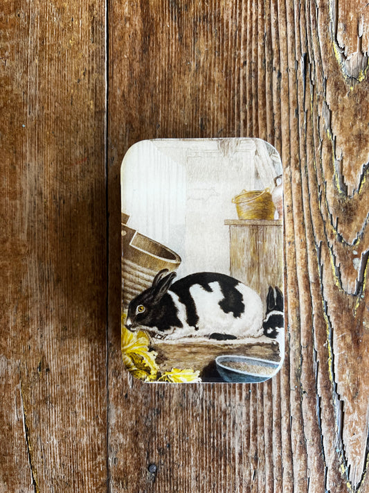 Boîte Métallique pour Accessoires LAPIN de FIREFLY NOTES